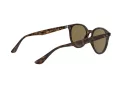 Ray-Ban RB 4305 710/73 53 Férfi, Női napszemüveg