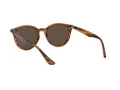 Ray-Ban RB 4305 820/73 53 Férfi, Női napszemüveg