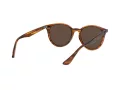 Ray-Ban RB 4305 820/73 53 Férfi, Női napszemüveg