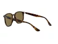 Ray-Ban RB 4306 710/73 54 Férfi, Női napszemüveg