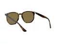 Ray-Ban RB 4306 710/73 54 Férfi, Női napszemüveg