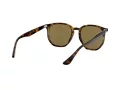 Ray-Ban RB 4306 710/73 54 Férfi, Női napszemüveg