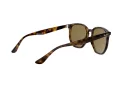 Ray-Ban RB 4306 710/73 54 Férfi, Női napszemüveg