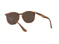 Ray-Ban RB 4306 820/73 54 Férfi, Női napszemüveg