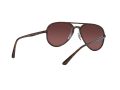 Ray-Ban RB 4320CH 710/6B 58 Férfi, Női napszemüveg