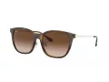 Ray-Ban RB 4333D 710/13 55 Férfi, Női napszemüveg