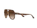 Ray-Ban RB 4376 710/13 57 Férfi, Női napszemüveg