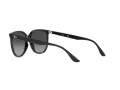 Ray-Ban RB 4378 601/8G 54 Női napszemüveg
