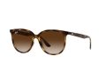 Ray-Ban RB 4378 710/13 54 Női napszemüveg