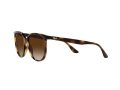 Ray-Ban RB 4378 710/13 54 Női napszemüveg