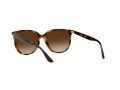 Ray-Ban RB 4378 710/13 54 Női napszemüveg