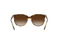 Ray-Ban RB 4378 710/13 54 Női napszemüveg