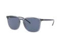 Ray-Ban RB 4387 639980 56 Férfi, Női napszemüveg