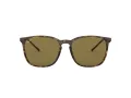 Ray-Ban RB 4387 710/73 56 Férfi, Női napszemüveg