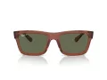 Ray-Ban Warren RB 4396 66789A 54 Férfi, Női napszemüveg