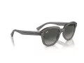Ray-Ban Erik RB 4398 667571 51 Férfi, Női napszemüveg