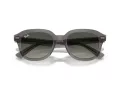 Ray-Ban Erik RB 4398 667571 51 Férfi, Női napszemüveg