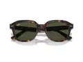 Ray-Ban Erik RB 4398 902/31 53 Férfi, Női napszemüveg