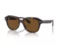 Ray-Ban Erik RB 4398 902/57 53 Férfi, Női napszemüveg