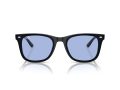 Ray-Ban RB 4420 601/80 65 Férfi, Női napszemüveg
