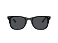 Ray-Ban RB 4420 601/87 65 Férfi, Női napszemüveg
