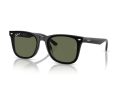 Ray-Ban RB 4420 601/9A 65 Férfi, Női napszemüveg