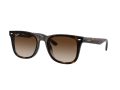 Ray-Ban RB 4420 710/13 65 Férfi, Női napszemüveg