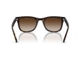 Ray-Ban RB 4420 710/13 65 Férfi, Női napszemüveg