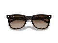 Ray-Ban RB 4420 710/13 65 Férfi, Női napszemüveg