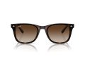 Ray-Ban RB 4420 710/13 65 Férfi, Női napszemüveg