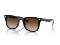 Ray-Ban RB 4420 710/13 65 Férfi, Női napszemüveg