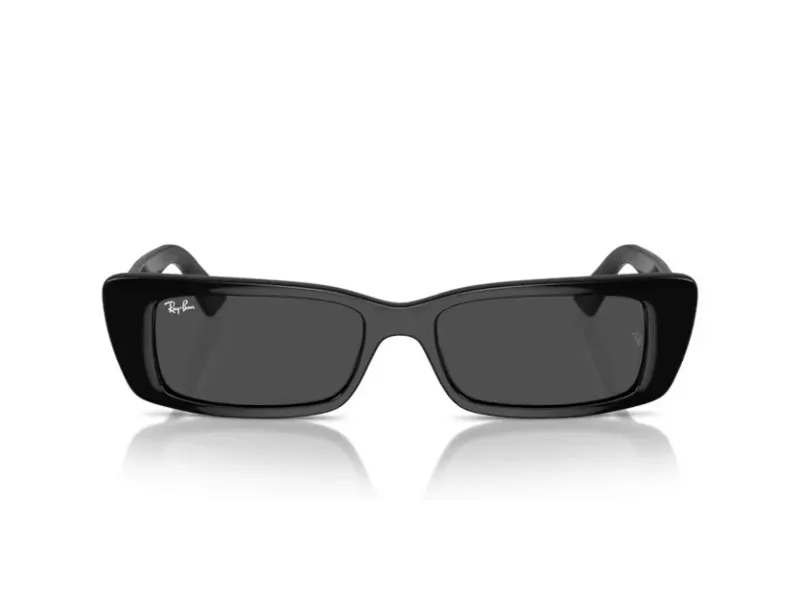 Ray-Ban Teru RB 4425 667787 54 Férfi, Női napszemüveg