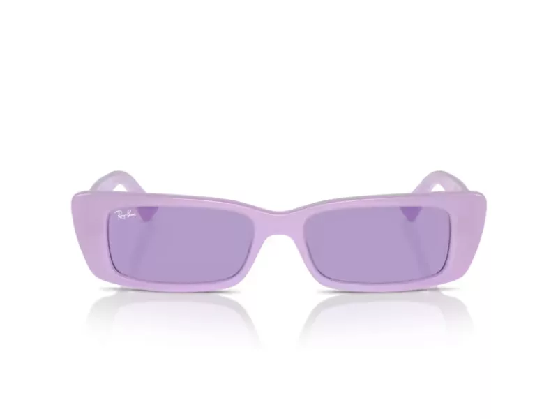 Ray-Ban Teru RB 4425 67581A 54 Férfi, Női napszemüveg