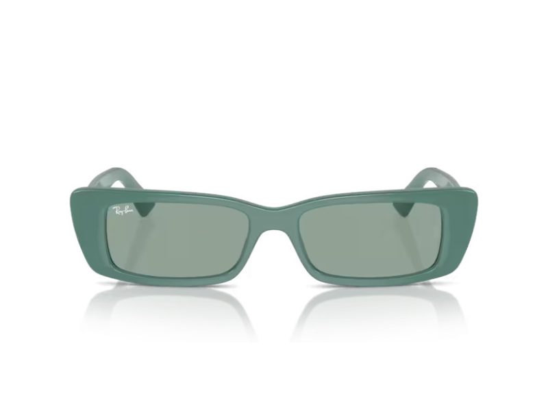 Ray-Ban Teru RB 4425 676282 54 Férfi, Női napszemüveg