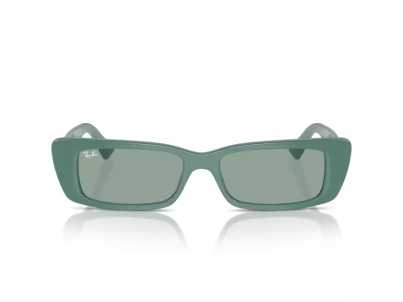 Ray-Ban Teru RB 4425 676282 54 Férfi, Női napszemüveg