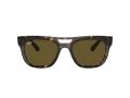 Ray-Ban Phil RB 4426 135973 54 Férfi, Női napszemüveg