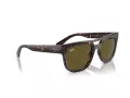 Ray-Ban Phil RB 4426 135973 54 Férfi, Női napszemüveg