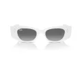 Ray-Ban Kat RB 4427 675911 49 Férfi, Női napszemüveg