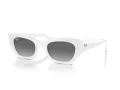 Ray-Ban Zena RB 4430 675911 49 Férfi, Női napszemüveg