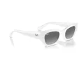 Ray-Ban Zena RB 4430 675911 49 Férfi, Női napszemüveg