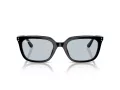 Ray-Ban RB 4439D 901/72 54 Férfi, Női napszemüveg