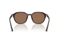 Ray-Ban RB 4459D 623173 54 Férfi, Női napszemüveg