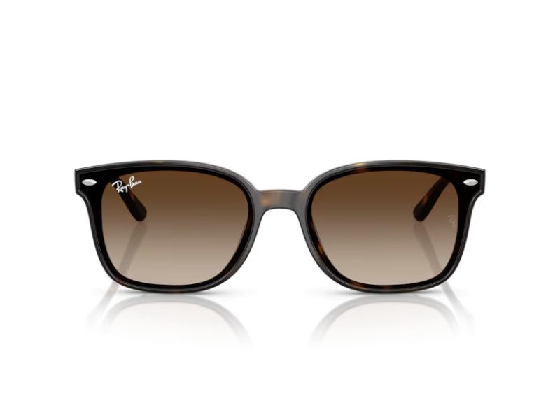 Ray-Ban RB 4461D 710/13 64 Férfi, Női napszemüveg