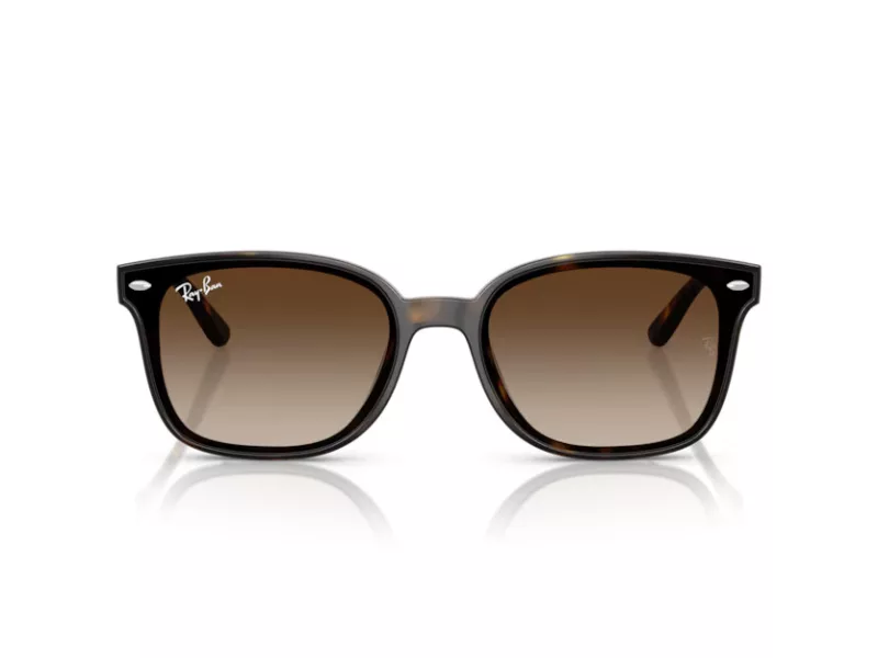 Ray-Ban RB 4461D 710/13 64 Férfi, Női napszemüveg