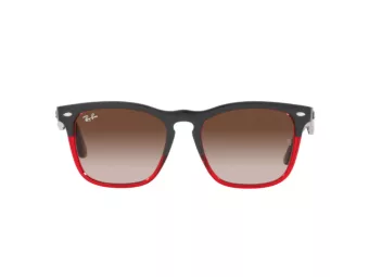 Ray-Ban Steve RB 4487 663113 54 Férfi, Női napszemüveg