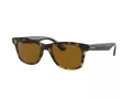 Ray-Ban RB 4640 710/33 50 Férfi, Női napszemüveg