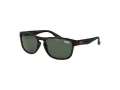 Superdry SDS Rockstar 122 54 Férfi, Női napszemüveg