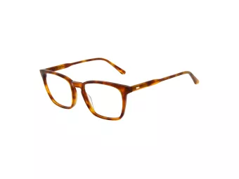 Sandro SD 1029 201 55 Férfi szemüvegkeret (optikai keret)