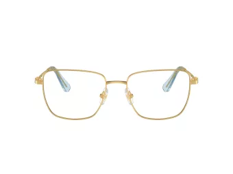   Swarovski SK 1003 4021 55 Női szemüvegkeret (optikai keret)