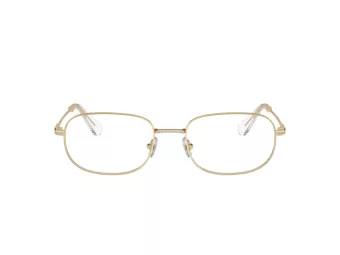   Swarovski SK 1005 4013 54 Női szemüvegkeret (optikai keret)